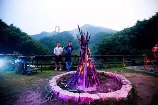 美妙森林找不同